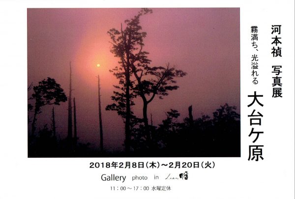 希少！】四季模様 花咲くやまと／抓揉 貢(著)｜本・雑誌・漫画 