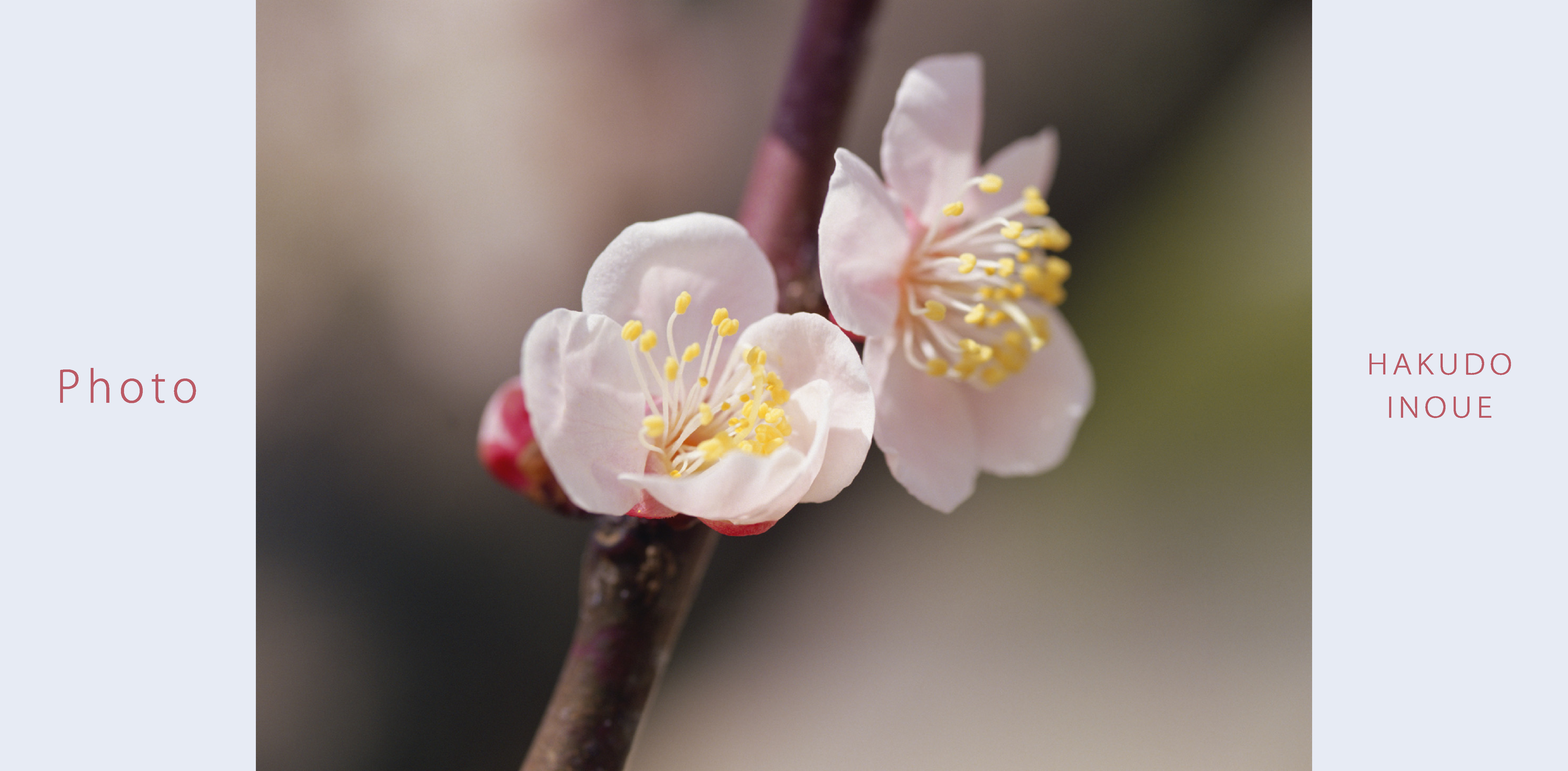 Photo2019年1月2